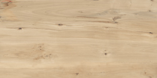 Керамогранит Buono Ceramica Forest Sweet Home Matt арт. FVL4511M (60x120) матовый